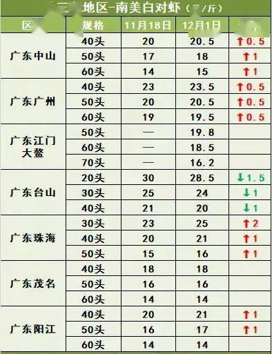 2024年12月26日 第26页